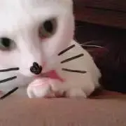 みみみの画像