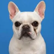 Keisukeの画像