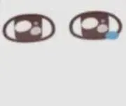 しろぬのの画像