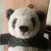 ぱんさんの画像