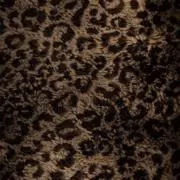 aの画像