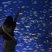 ジェシカの画像