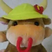 まるしの画像