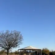 99.9の画像