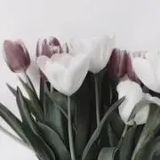 kの画像
