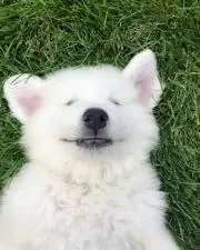 nolannnの画像