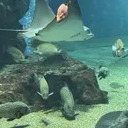 ときどきの画像