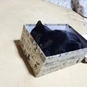 売り切りたいから値下げOK！