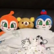 エミー・ローズ ぬいぐるみ ソニック【早い物勝ち】 - メルカリ