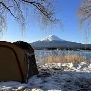 マサの画像