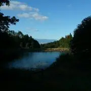 shigaの画像