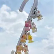 もっちーの画像