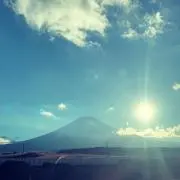 ぱぴおんの画像