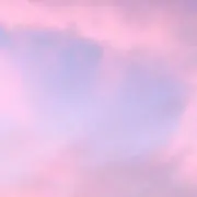 はーちゃんの画像