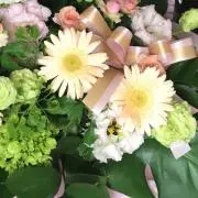 まの画像