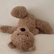 Stellarの画像
