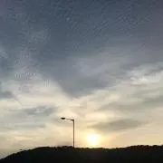ちゃむ