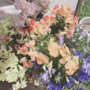 わう@断捨離中お値下げ依頼お気軽にの画像