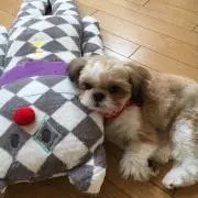 えっちゃん