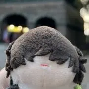 たねの画像