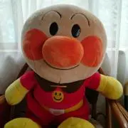 なっぽん