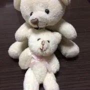 kohaの画像