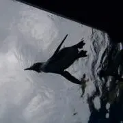 万夜釣行