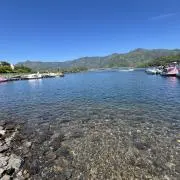 たいやきの画像