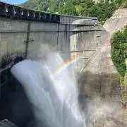 豆助の画像