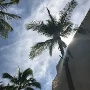 るくの画像