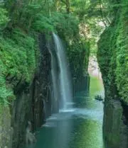 みんとの画像