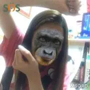 rerere