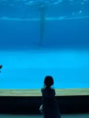 ひなたんの画像