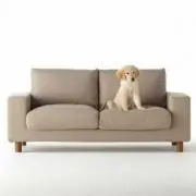 ドンムアンの画像