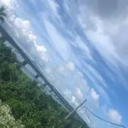 shyの画像