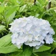 soraの画像