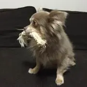 ヒロ