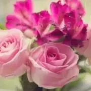 ＊はな＊