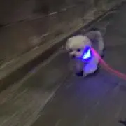 ♡の画像