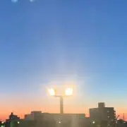 ふの画像