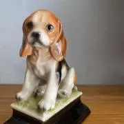 ウリコの画像