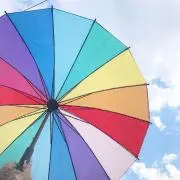 dambo（即購入可）の画像