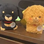 やまとの画像