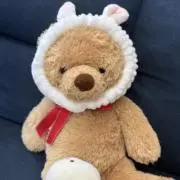 もーちゃんꪔ̤̮❤︎の画像