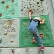 みかんの画像