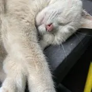 けいちゃん