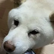 みにける