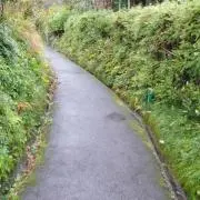 TRUEの画像