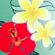 LOCOの画像