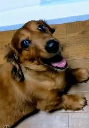 大好きさんの画像